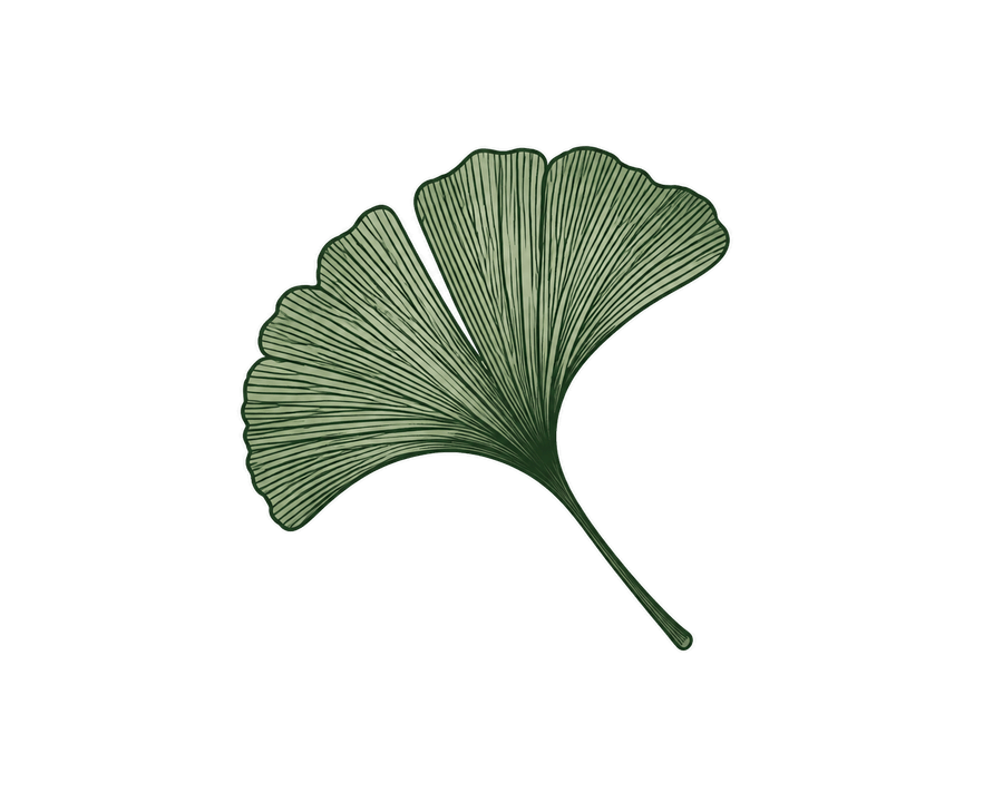 Emblema ginkgo a EF LANDESCAPE STUDIO